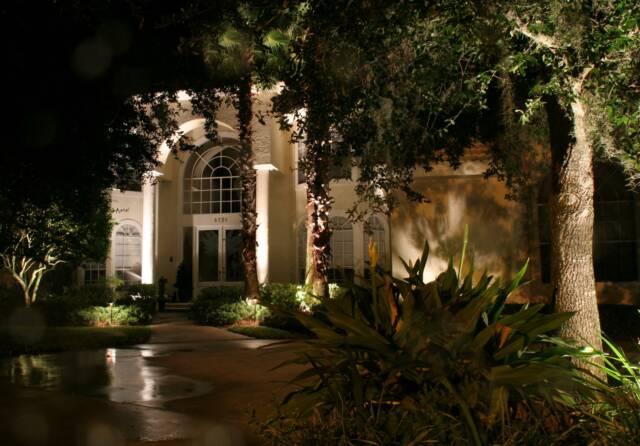CAST Lighting, Front of home, plant lighting and Tree Lighting